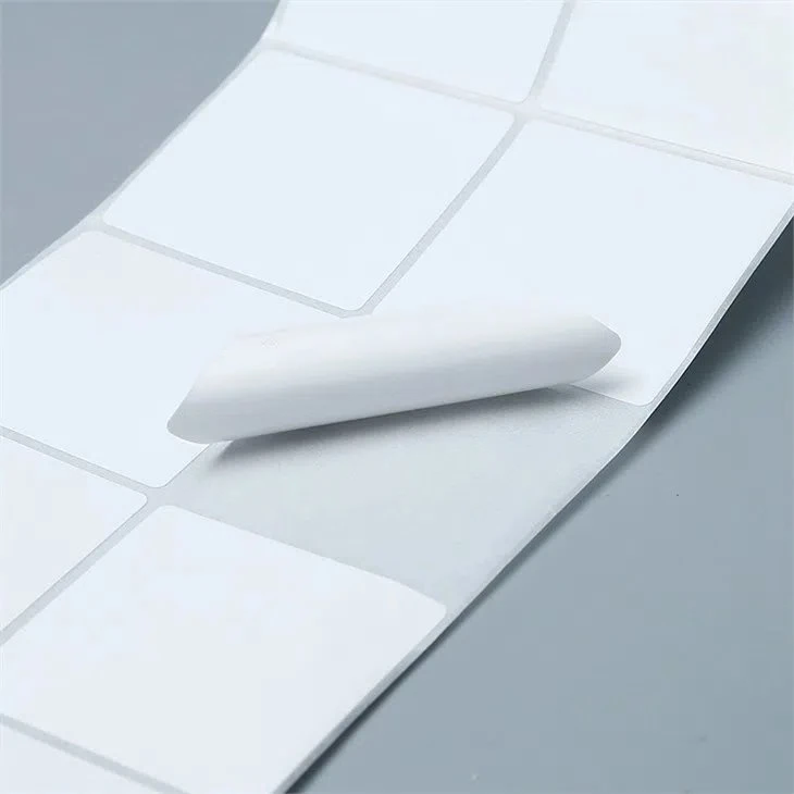 RS9BY`25%7WU}P8WSTUJB0E product-730-730